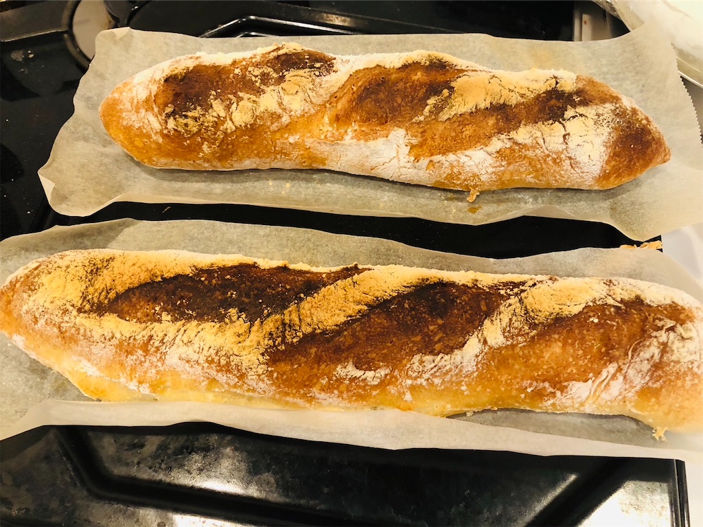 f:id:kumabou2016:20230513083540j:image