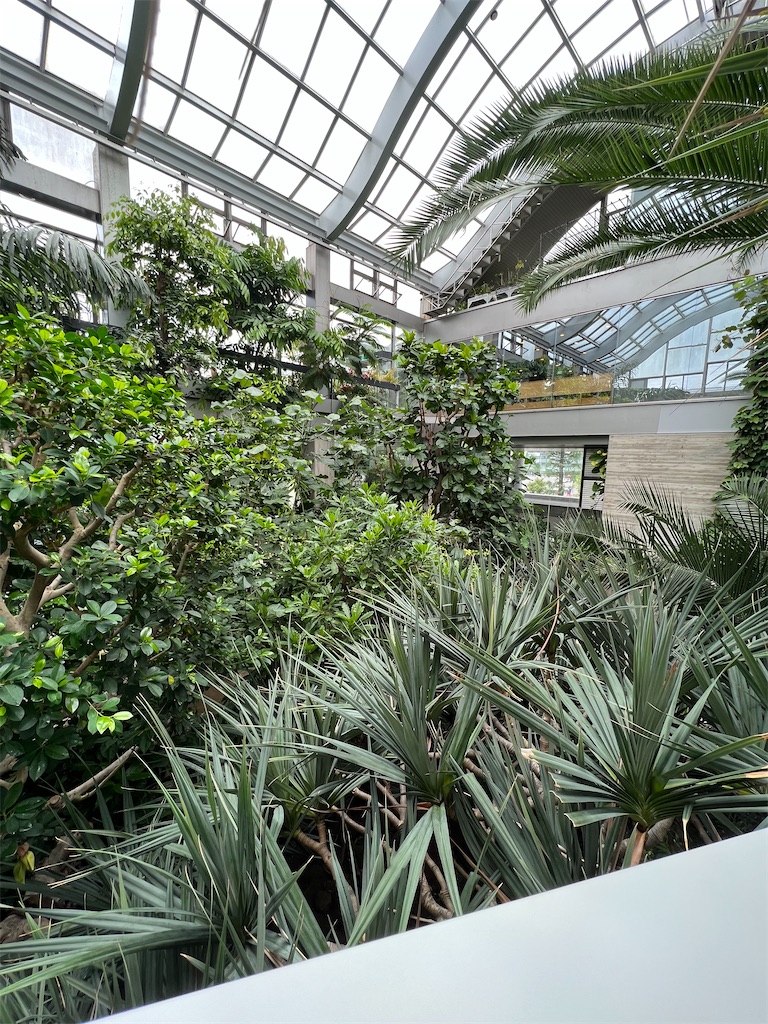 f:id:kumabou2016:20230624111205j:image