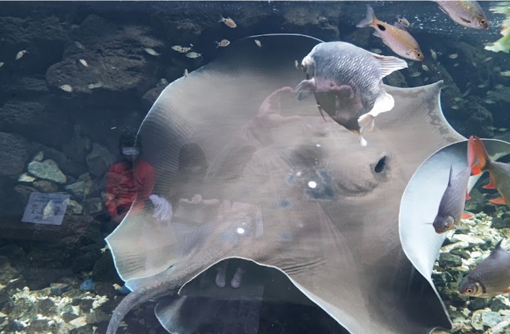 f:id:kumabou2016:20230624111215j:image