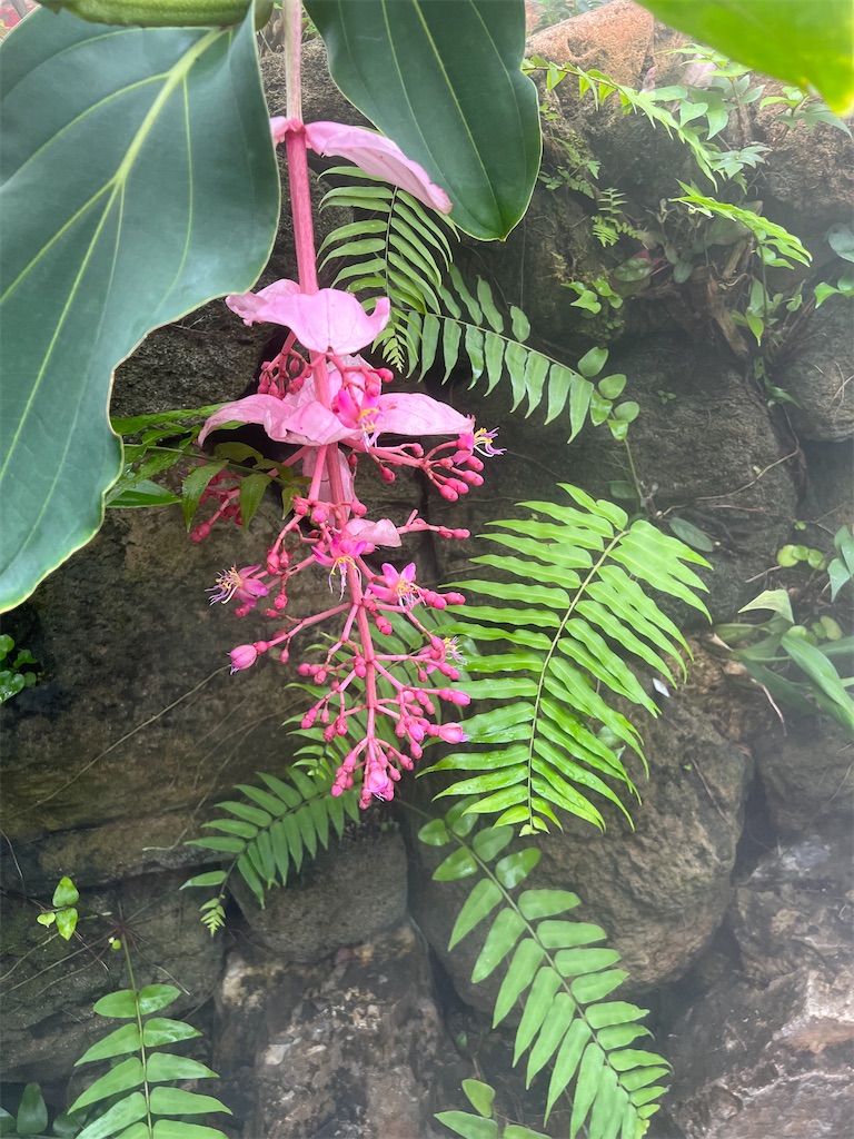 f:id:kumabou2016:20230624111221j:image