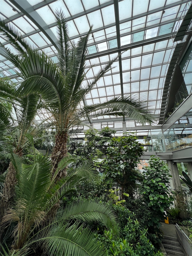 f:id:kumabou2016:20230624111224j:image