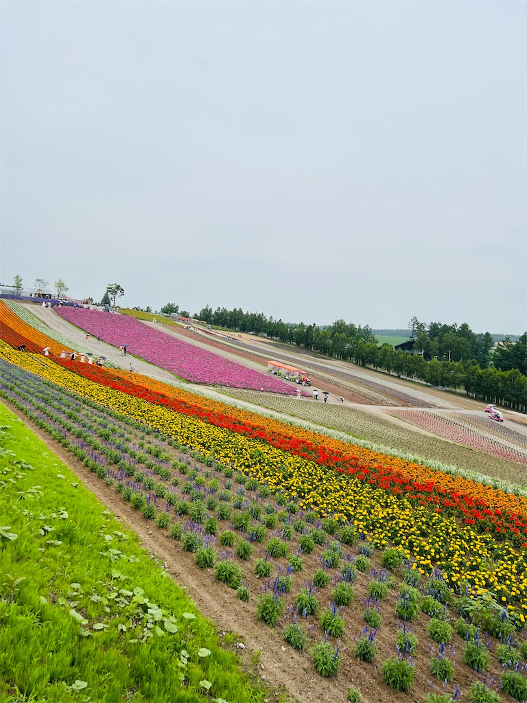 f:id:kumabou2016:20230714060219j:image
