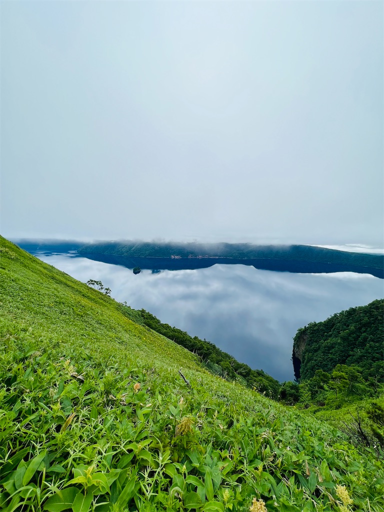 f:id:kumabou2016:20230718200516j:image