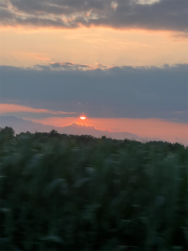 f:id:kumabou2016:20230805132025j:image