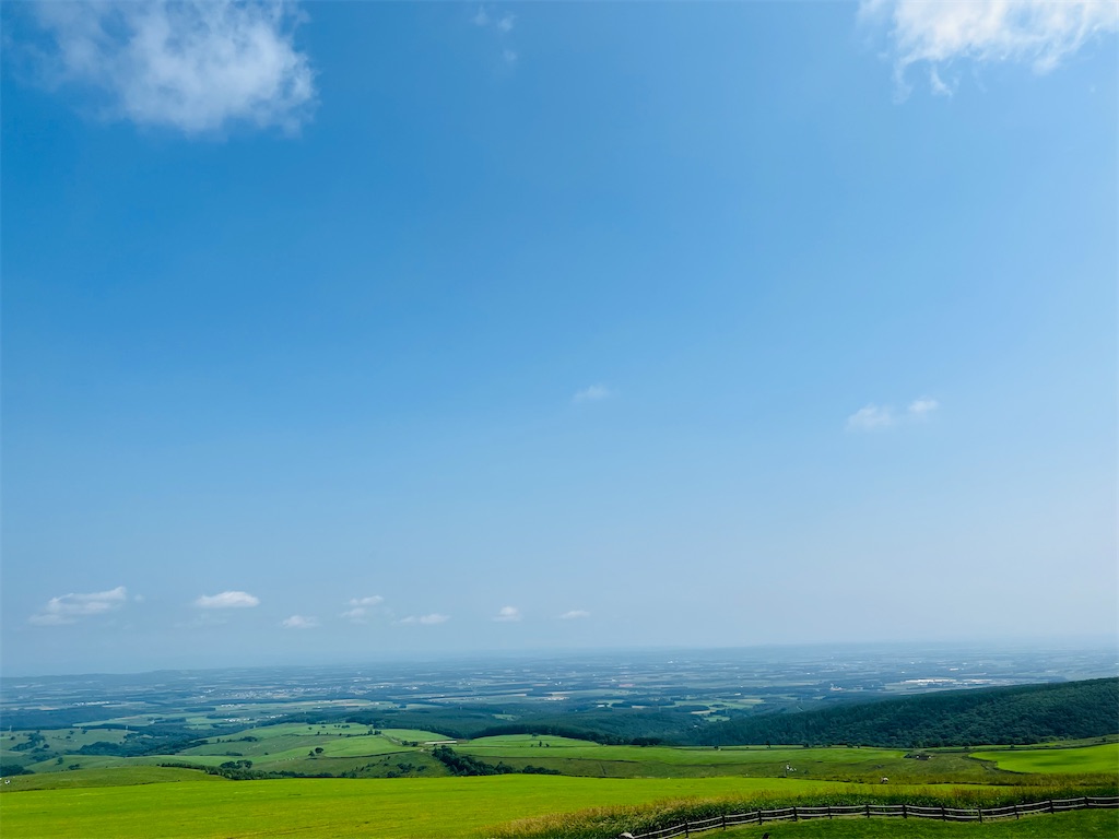 f:id:kumabou2016:20230805132031j:image