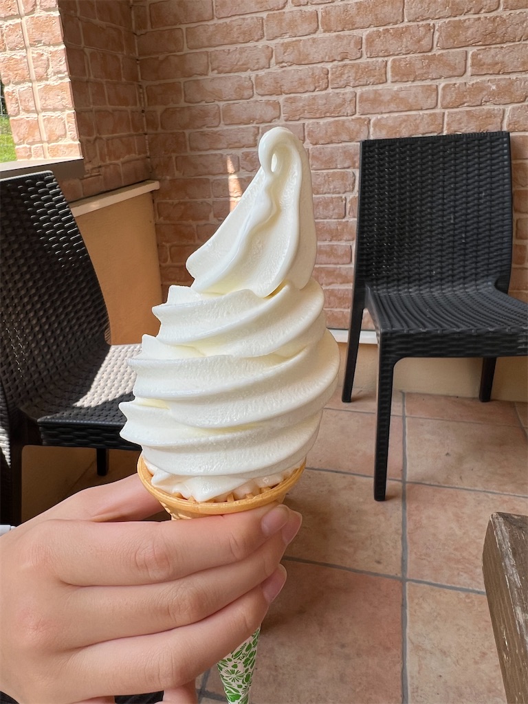 f:id:kumabou2016:20230805132041j:image