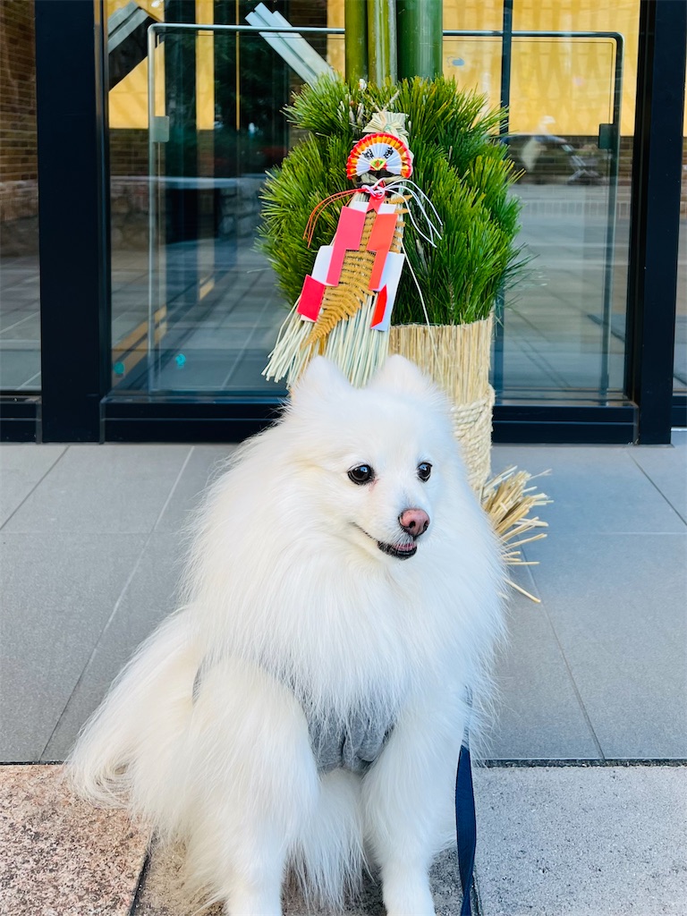 f:id:kumabou2016:20231230150948j:image