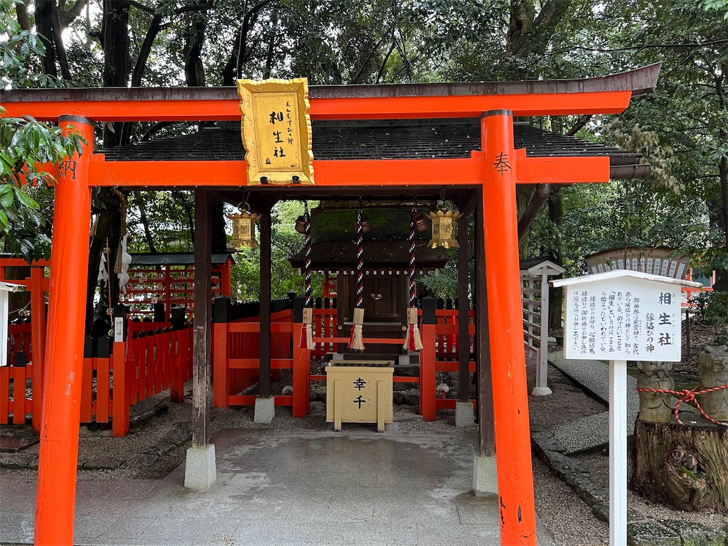 f:id:kumabou2016:20240407070059j:image