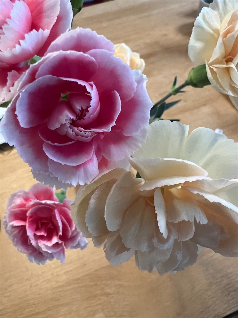 f:id:kumabou2016:20240517094834j:image