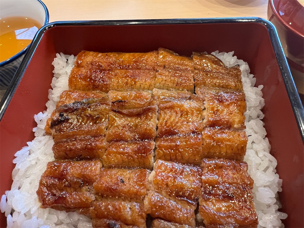 f:id:kumabou2016:20240527204131j:image