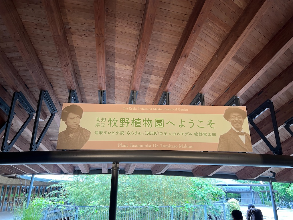 f:id:kumabou2016:20240531193902j:image