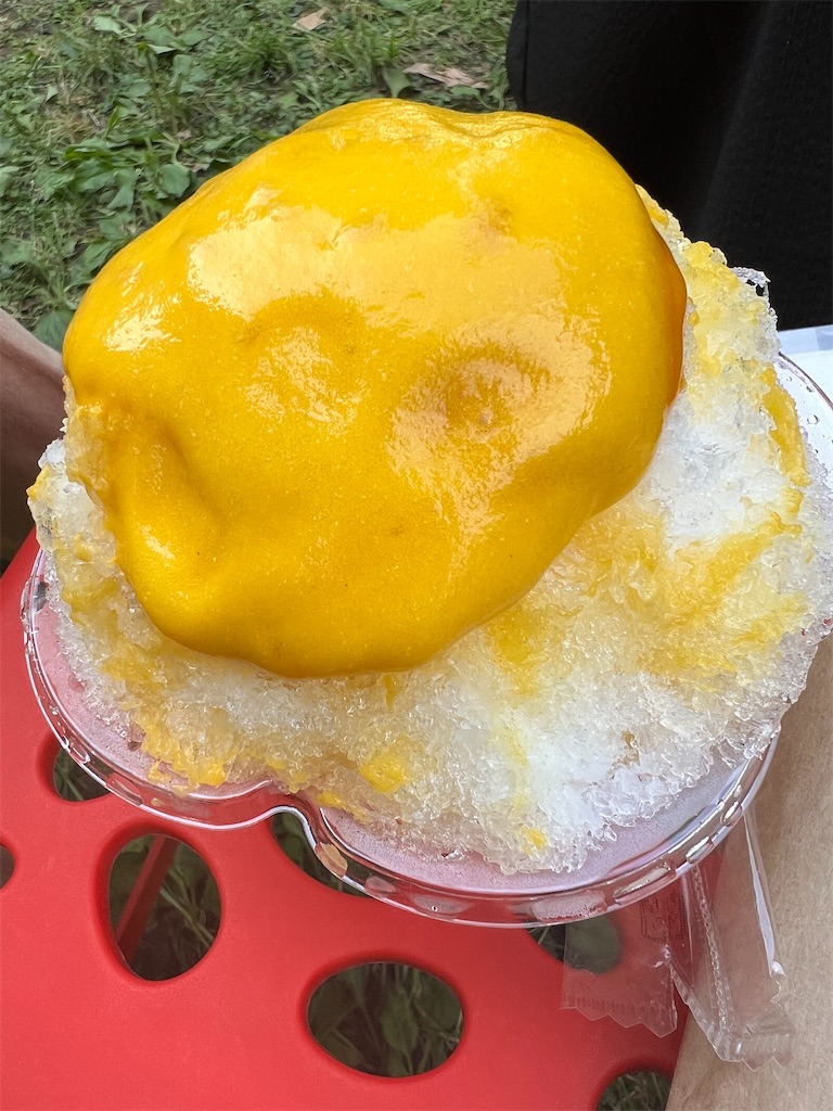 f:id:kumabou2016:20240608192140j:image f:id:kumabou2016:20240608192140j:image