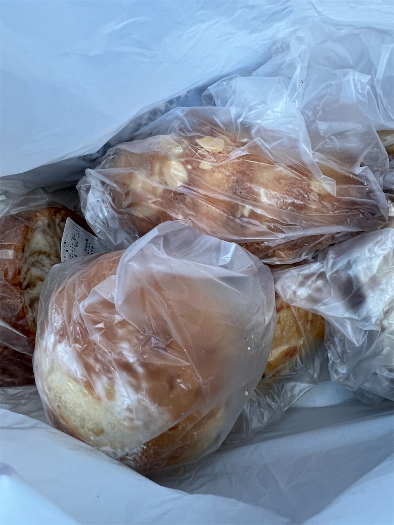 f:id:kumabou2016:20250126205637j:image