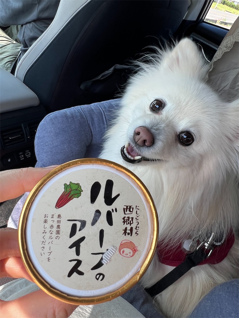 f:id:kumabou2016:20250805074736j:image