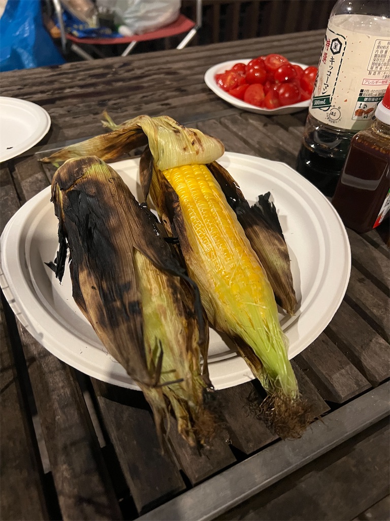 f:id:kumabou2016:20250809203429j:image