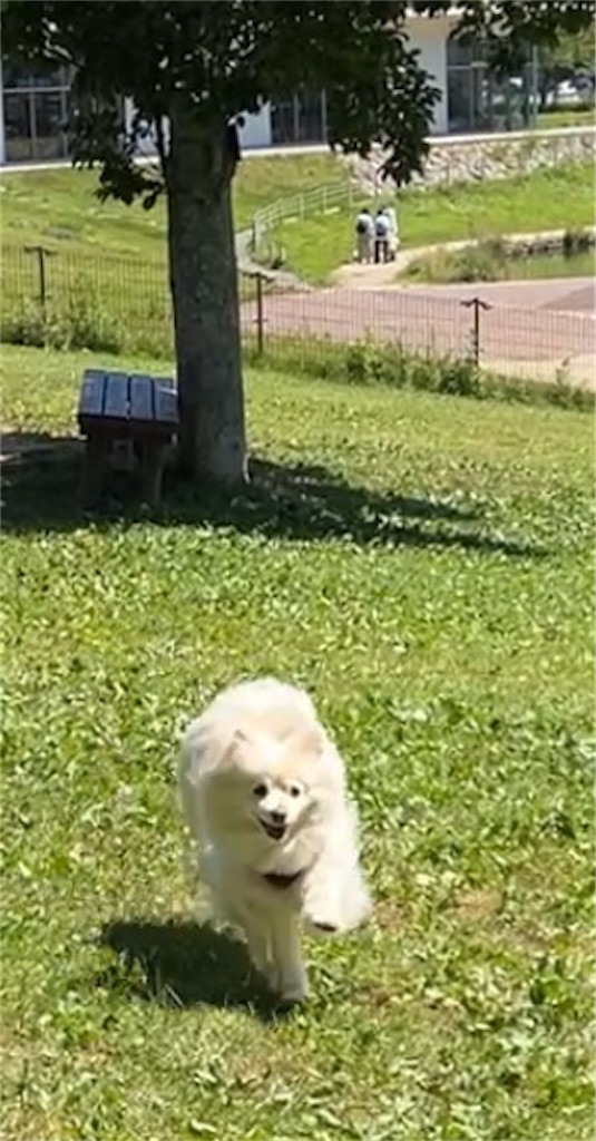 f:id:kumabou2016:20250810121941j:image f:id:kumabou2016:20250810121941j:image