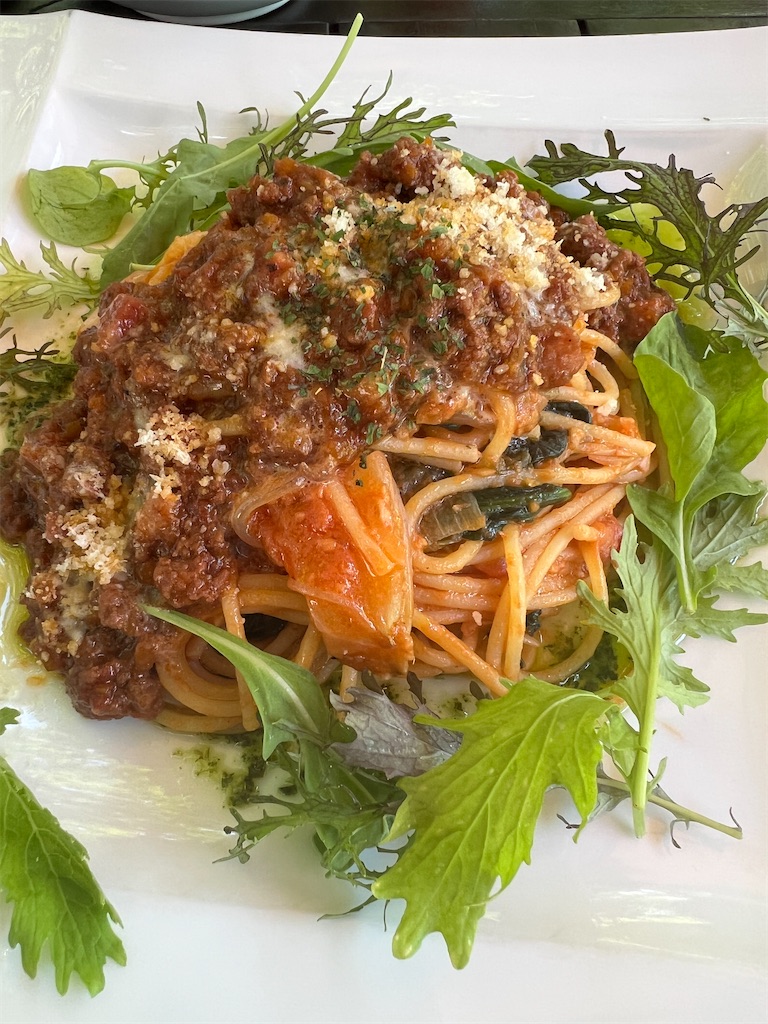 f:id:kumabou2016:20250811111115j:image