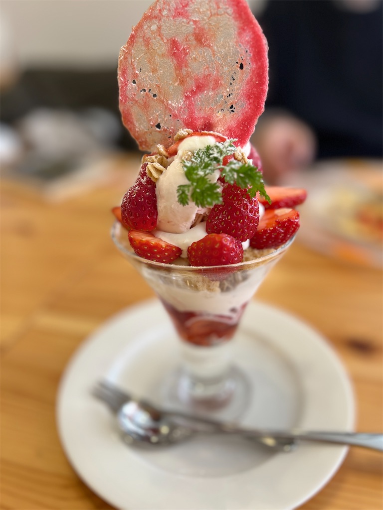 f:id:kumabou2016:20251231075743j:image f:id:kumabou2016:20251231075743j:image