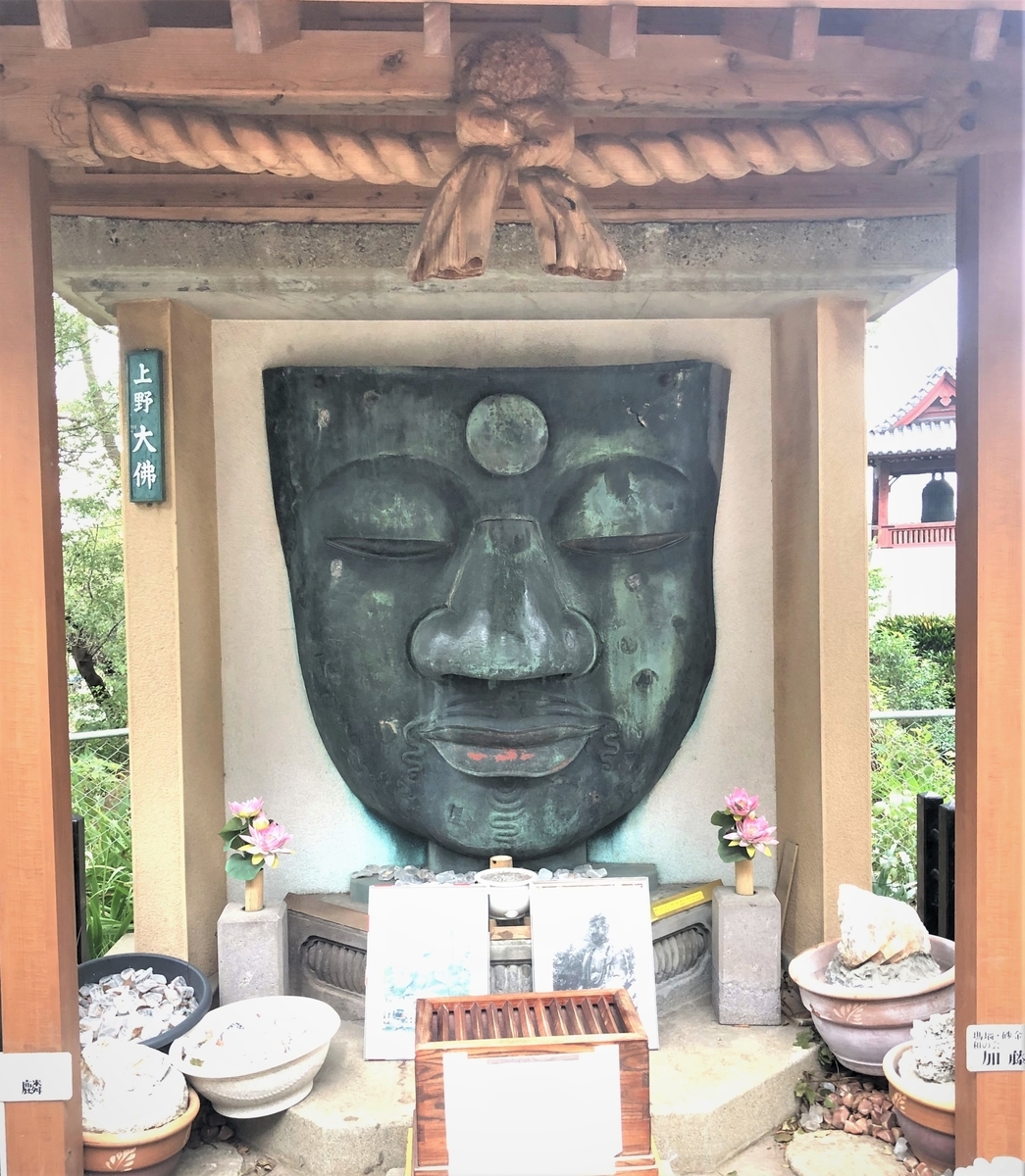上野大仏 クマケア治療院日記