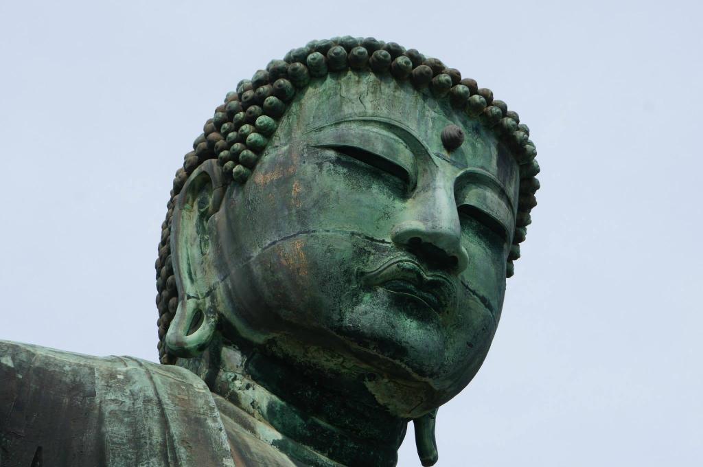 f:id:kumacare:20200412145556j:plain f:id:kumacare:20200412145556j:plain