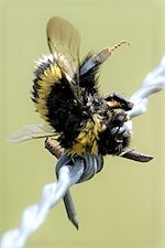 f:id:kumacare:20200709122010j:plain f:id:kumacare:20200709122010j:plain