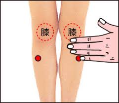 f:id:kumacare:20210528131127j:plain