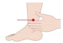 f:id:kumacare:20210528131359j:plain