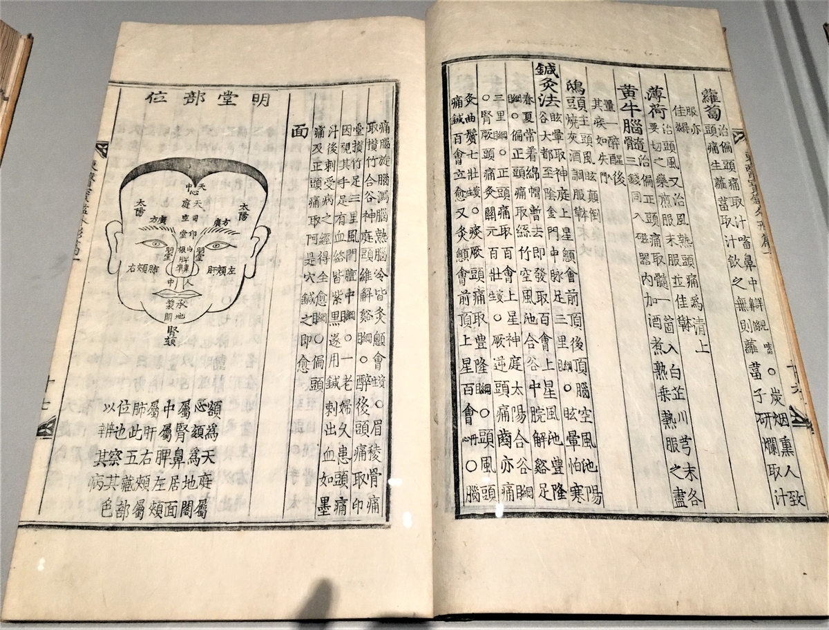 f:id:kumacare:20210731081643j:plain