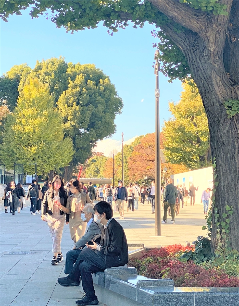 f:id:kumacare:20211116103308j:plain