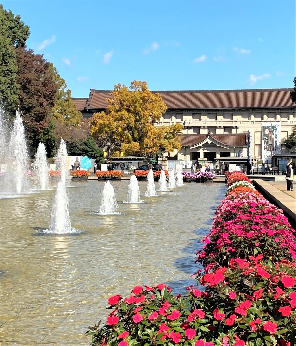 f:id:kumacare:20211116103340j:plain