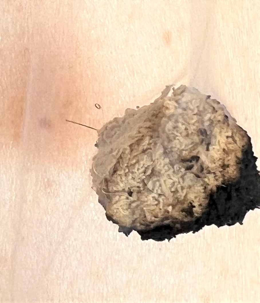 f:id:kumacare:20220317074903j:plain