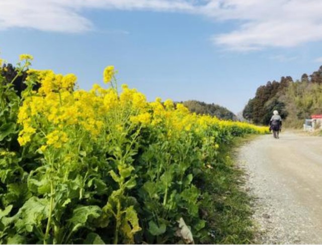 f:id:kumachancurry:20220725120248j:image