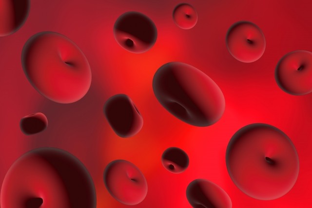 f:id:kumachancurry:20221103005219j:image