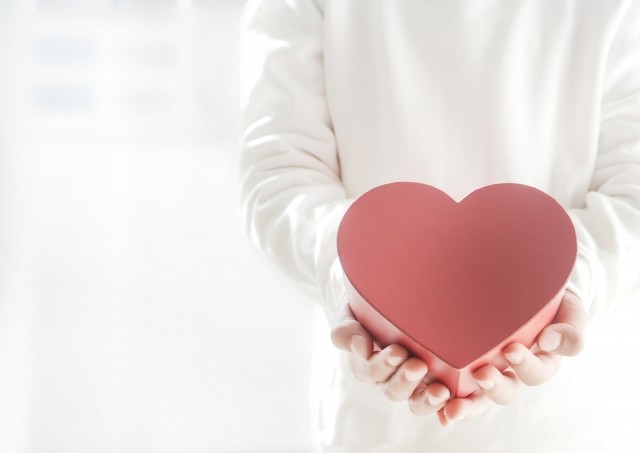 f:id:kumachancurry:20230203221734j:image