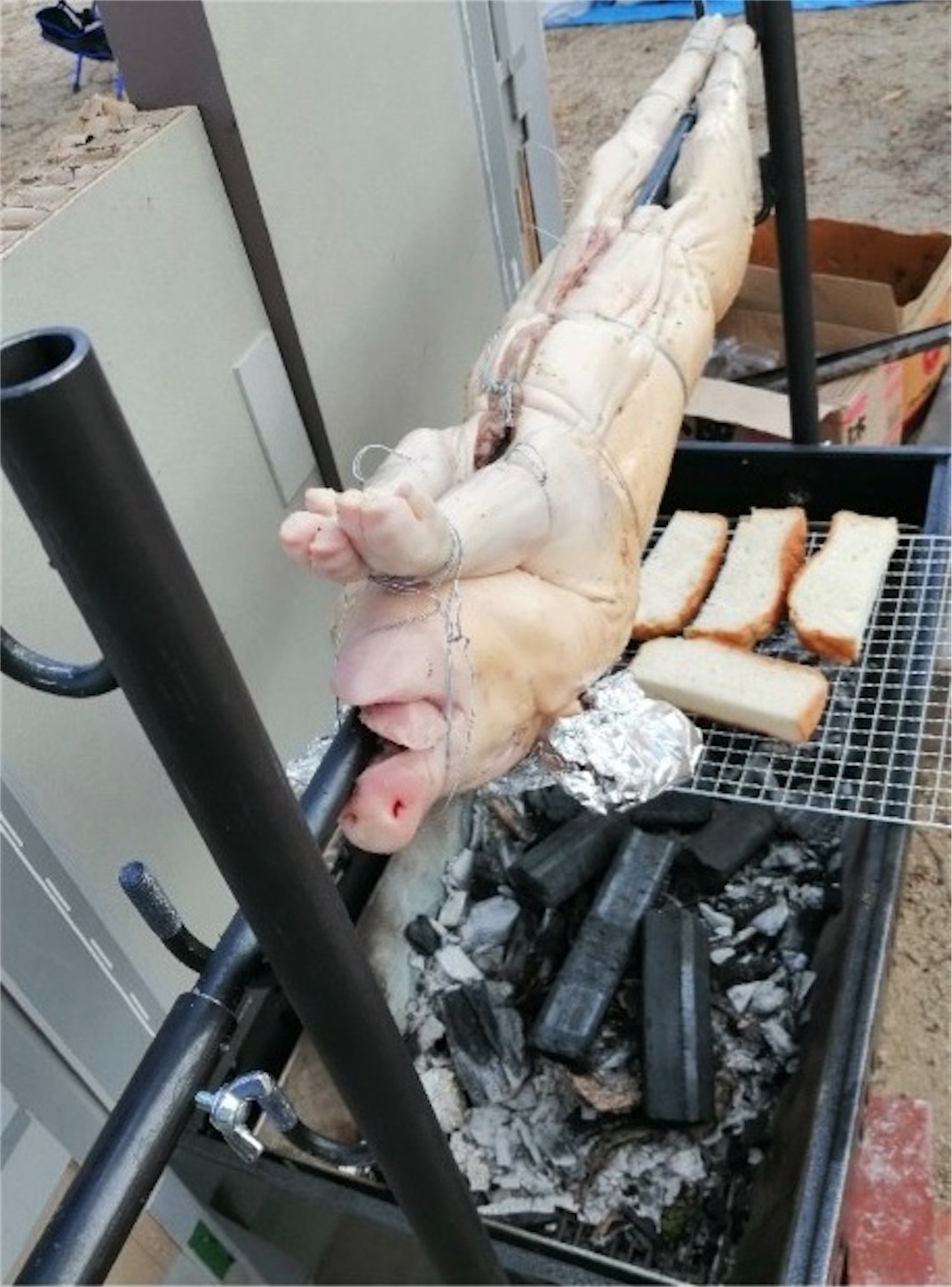 豚の丸焼き 超ワイルドなbbq アウトドア好きには1度はしてみたい夢の丸焼き 多趣味のくまちゃん日記