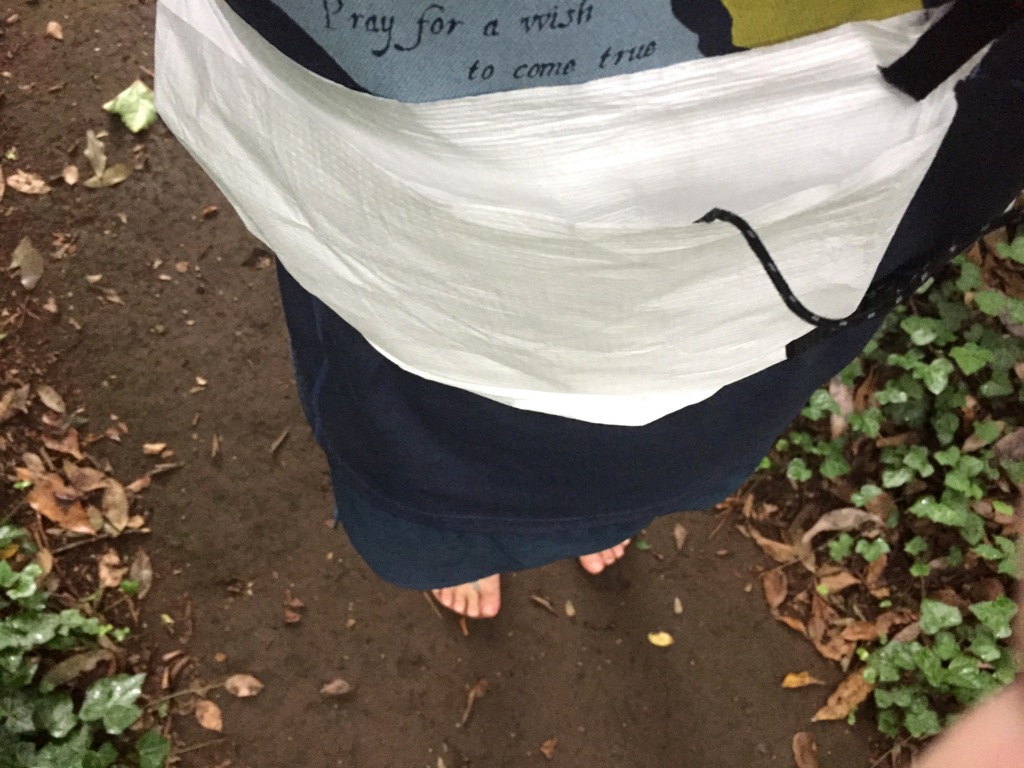 f:id:kumad:20170705124718j:plain