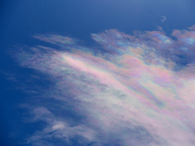 弥生の朝空に吉兆の印「彩雲」 - 庭先の四季