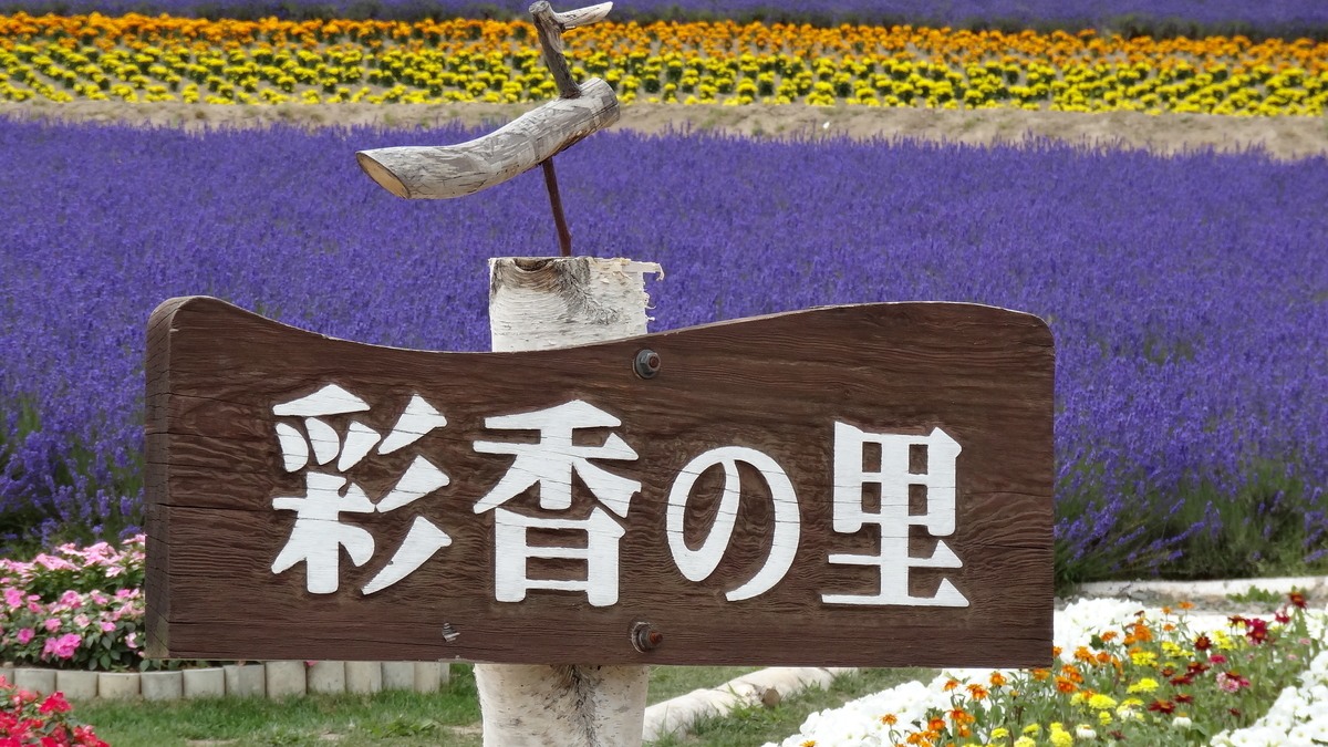 f:id:kumagoro1:20190731110723j:plain