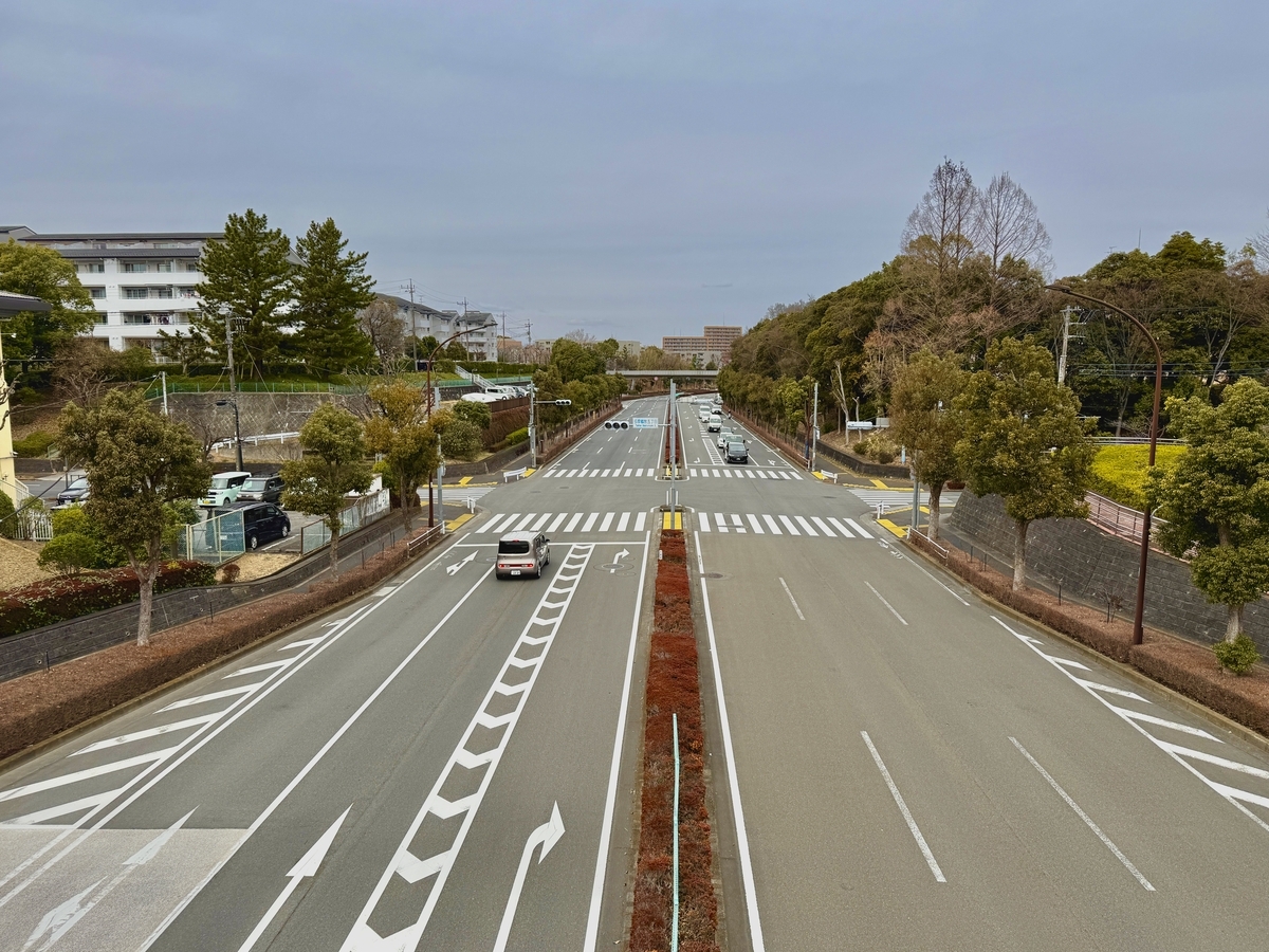 曇り空でお寒い今日の午前中は・・・