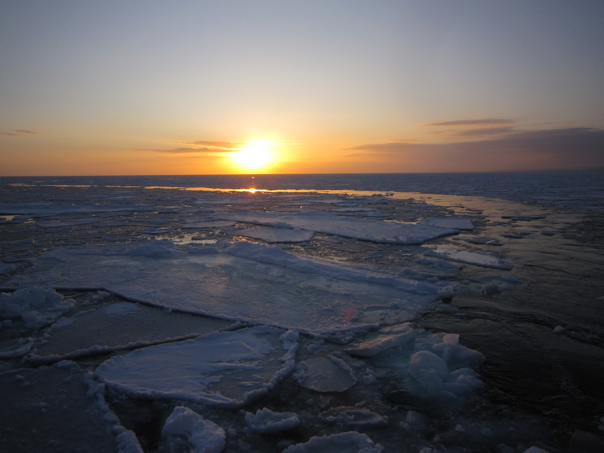 f:id:kumai3:20200229143641j:plain