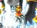 波乗りわんこsnap1