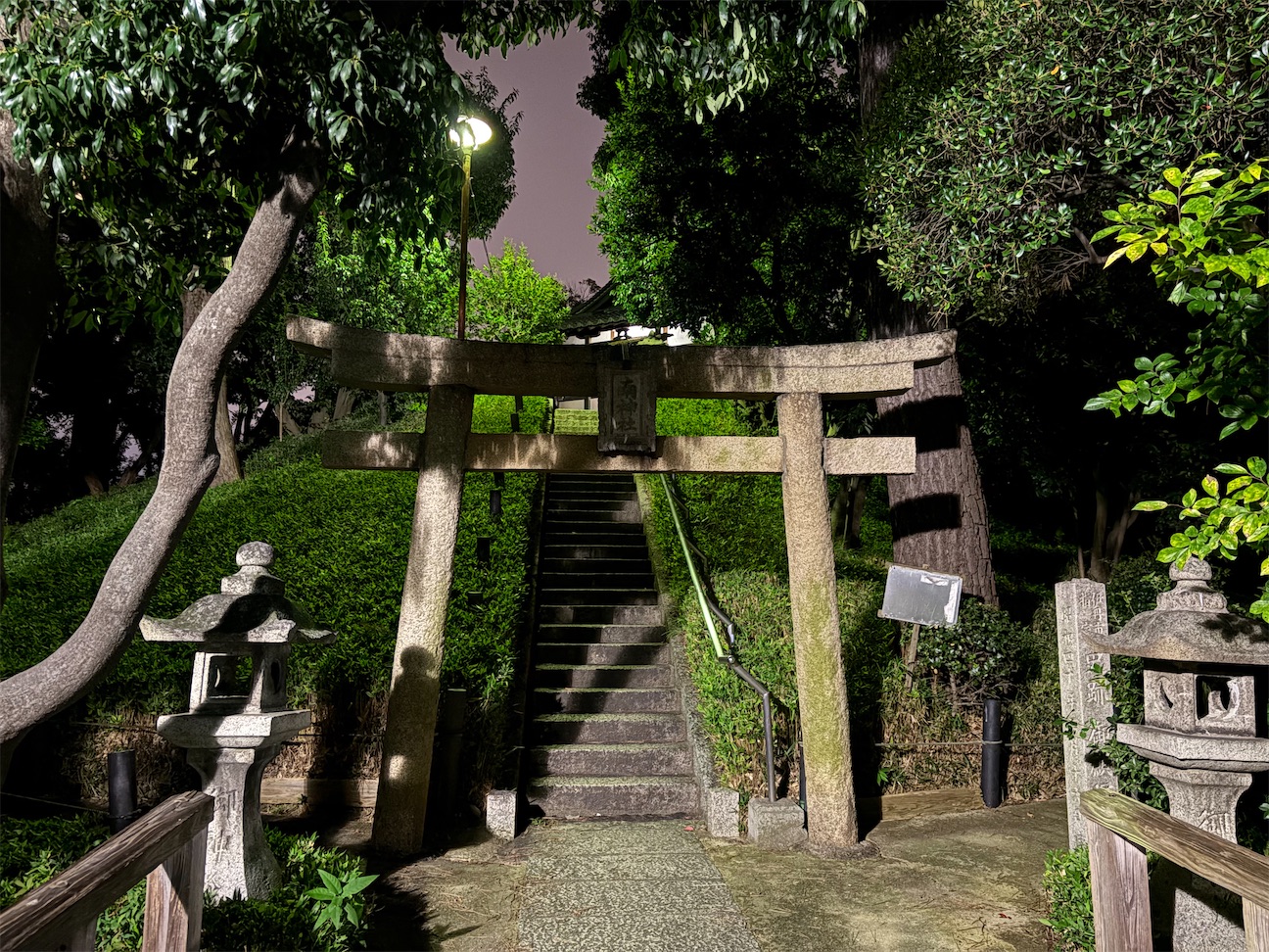 f:id:kumainmind:20261023192733j:image f:id:kumainmind:20261023192733j:image