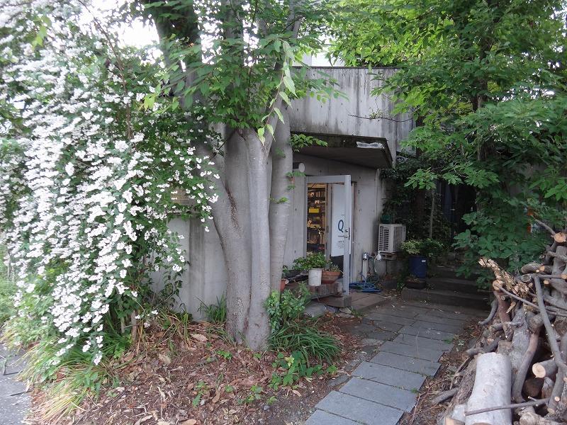 画像を等倍で表示します 画像