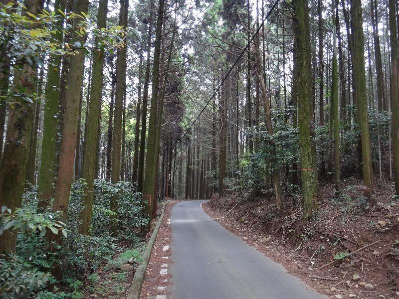 画像を等倍で表示します 画像