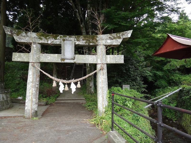 画像を等倍で表示します 画像