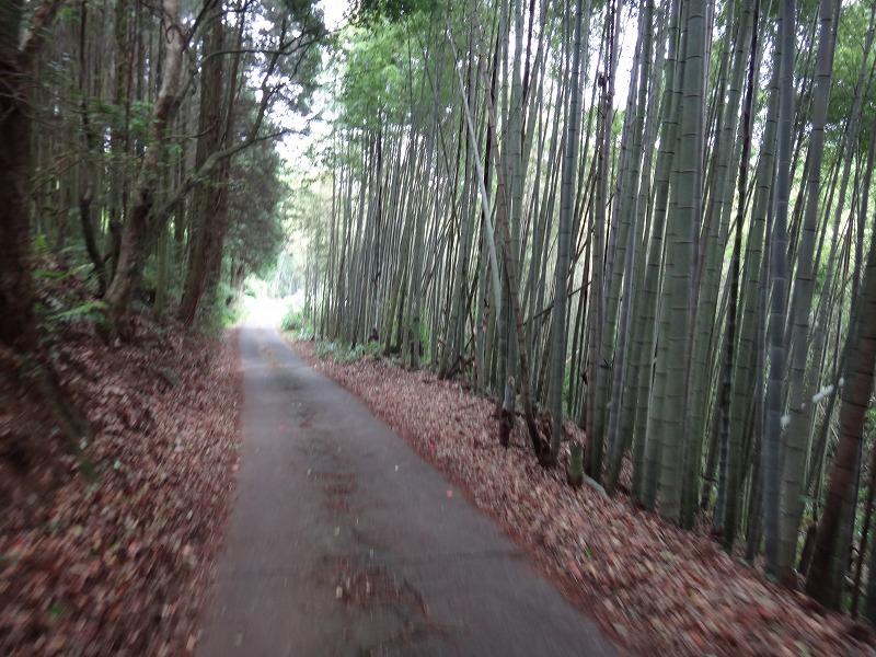 画像を等倍で表示します 画像