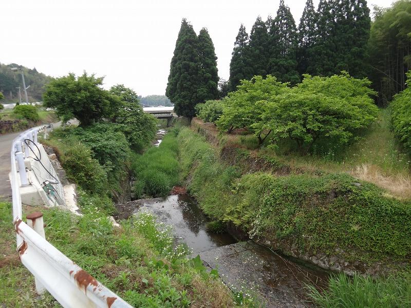 画像を等倍で表示します 画像