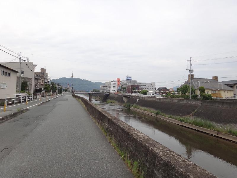 画像を等倍で表示します 画像