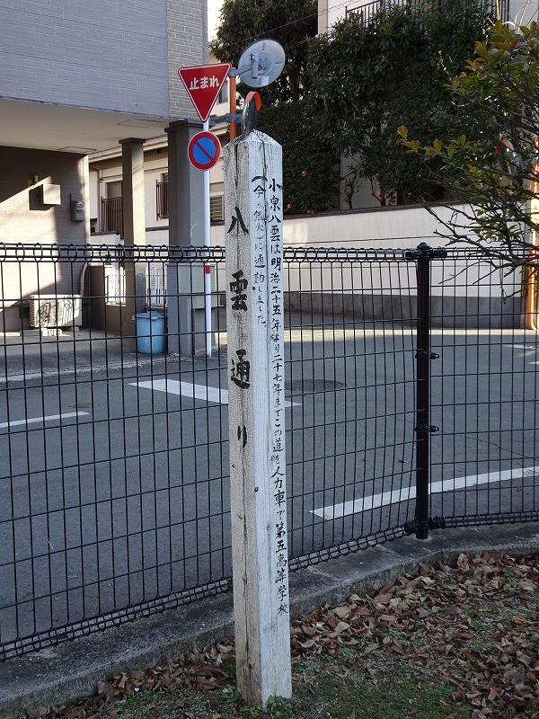 画像を等倍で表示します 画像