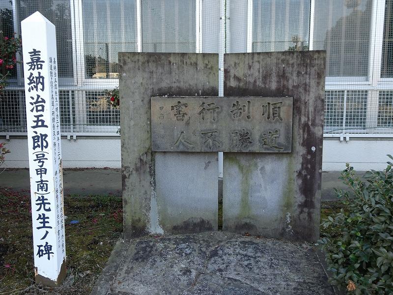 画像を等倍で表示します 画像